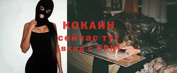 твердый Кукмор