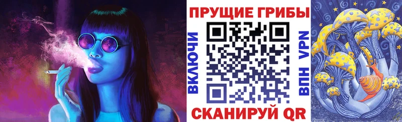 Псилоцибиновые грибы Magic Shrooms  Купить где  Аша 